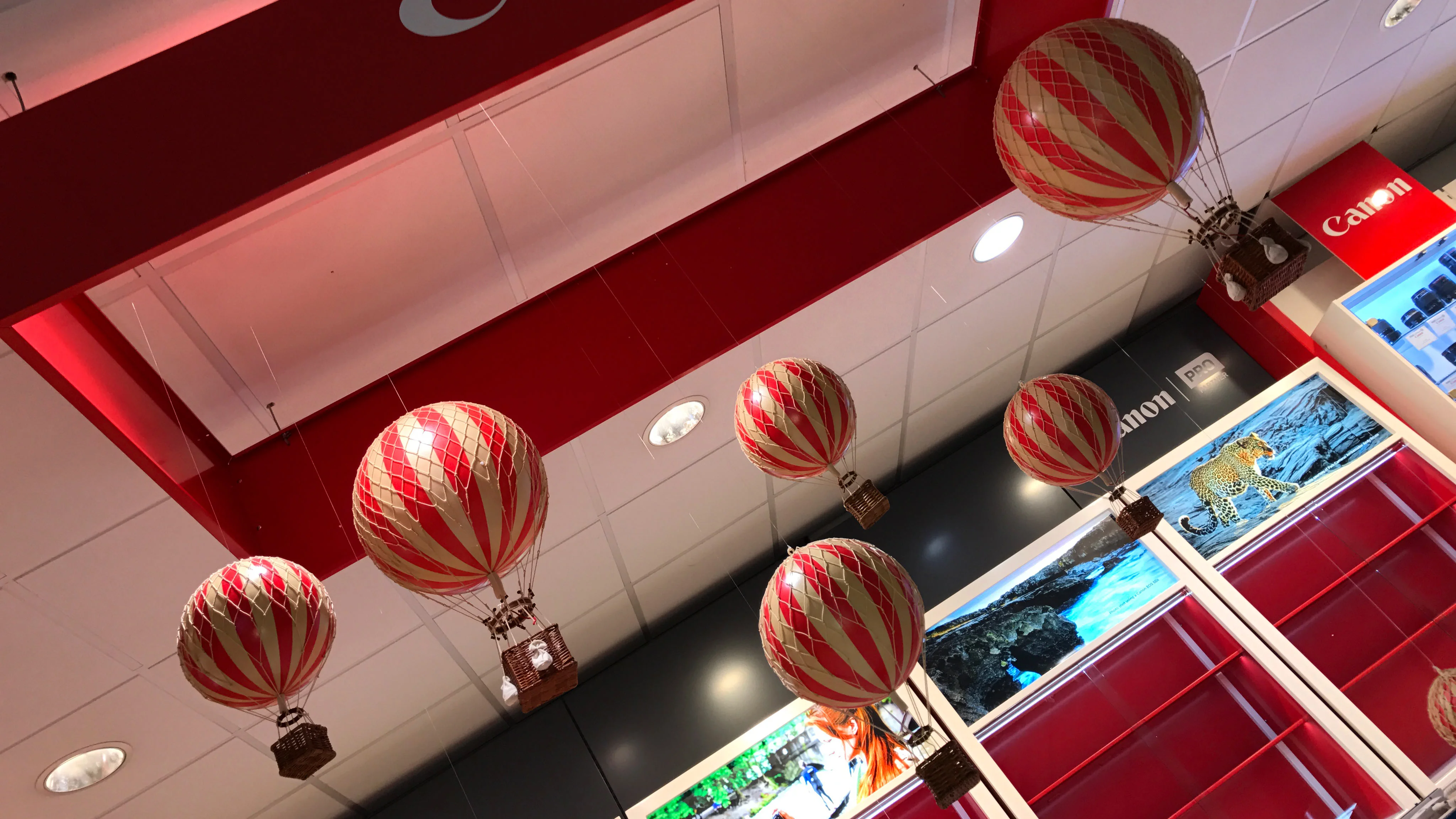 CANON graphic installation display - Interior Retail Design and Installation by Attero Retail Design Agency, Bristol